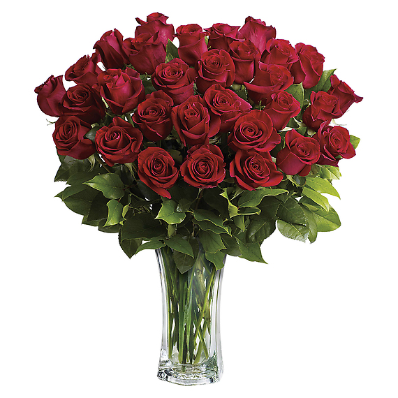 24 Long Stemmed Red Roses