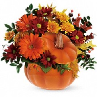 Country Pumpkin