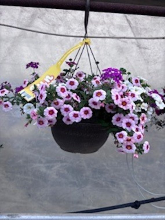 12\" Cali Mixed Basket