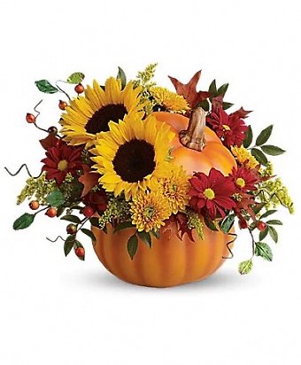 Pretty Pumpkin