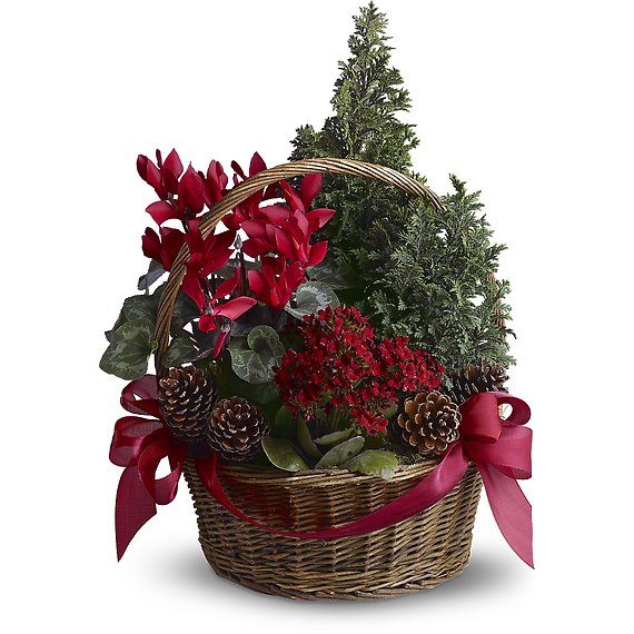 Tannenbaum Basket