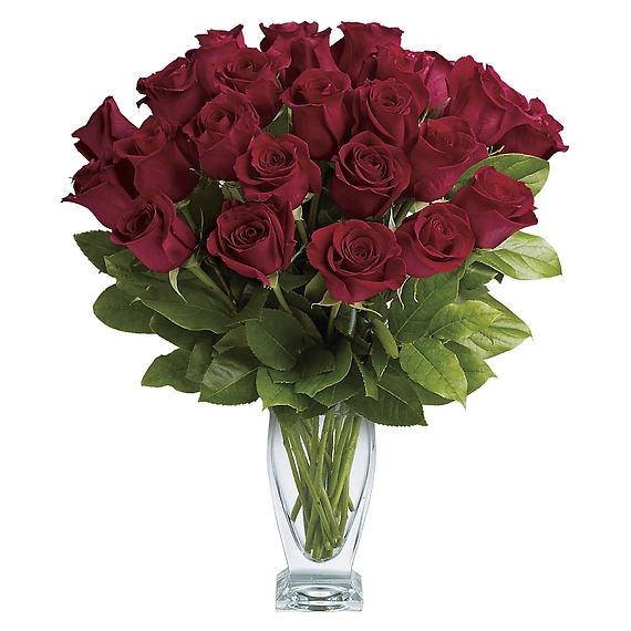 12 Rose Classique - Dozen Red Roses