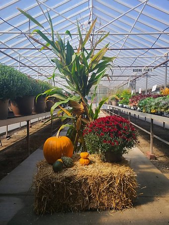 Fall Bundle