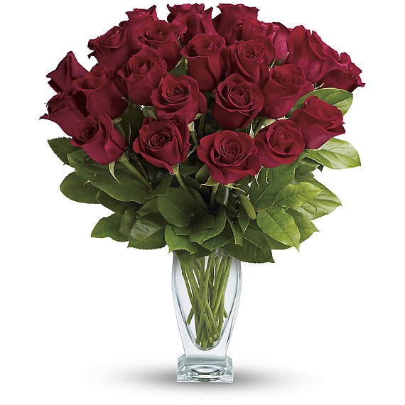 Rose Classique - Dozen Red Roses